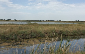 A lagoon near Cervia, Italy